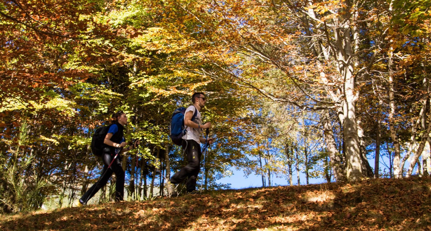 Educazione alimentare versus Educazione emotiva - Hills Nordic Walking